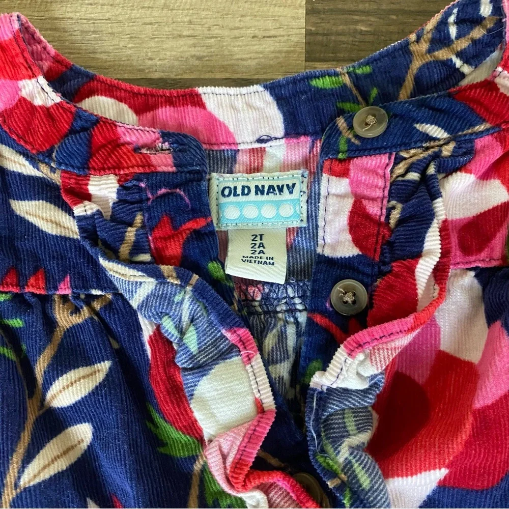 Kids Old Navy Blue and Red Floral Dress size 2 T